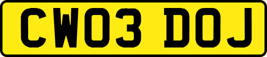 CW03DOJ
