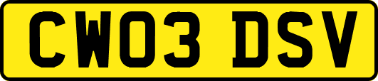 CW03DSV