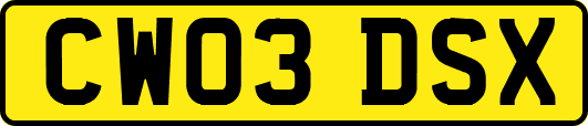 CW03DSX