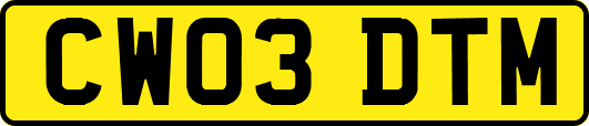 CW03DTM