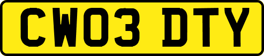 CW03DTY