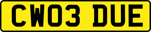 CW03DUE