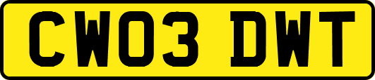 CW03DWT