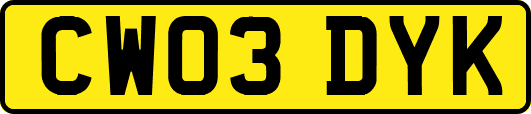 CW03DYK
