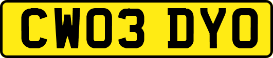CW03DYO