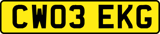 CW03EKG