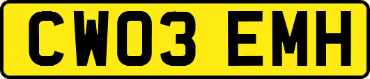 CW03EMH