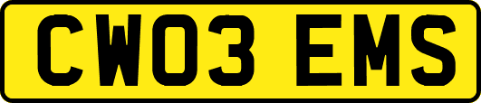 CW03EMS