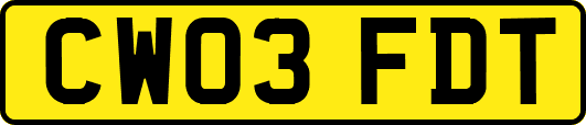 CW03FDT