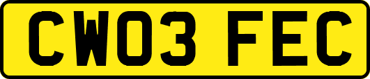 CW03FEC