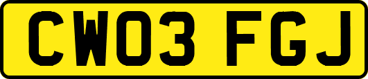 CW03FGJ