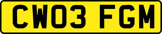 CW03FGM