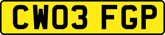 CW03FGP