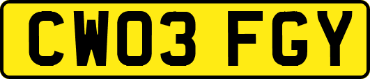 CW03FGY