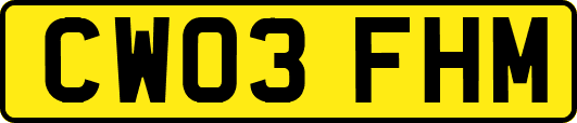 CW03FHM