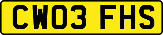 CW03FHS