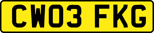 CW03FKG