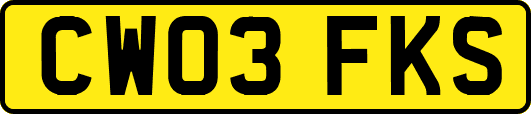 CW03FKS