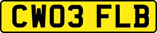 CW03FLB