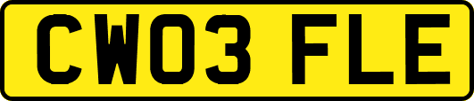 CW03FLE