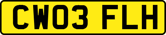 CW03FLH