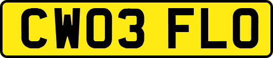CW03FLO