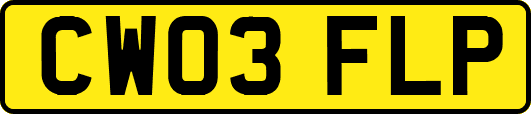 CW03FLP
