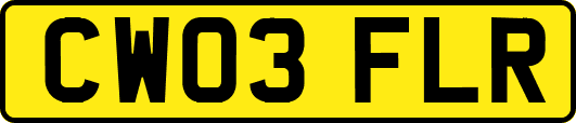 CW03FLR