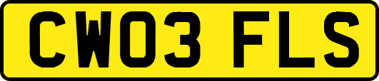 CW03FLS