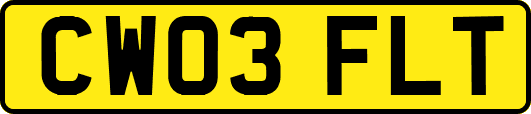 CW03FLT