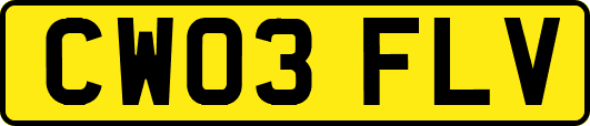 CW03FLV