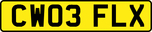 CW03FLX