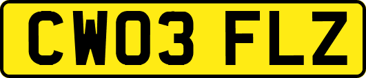 CW03FLZ