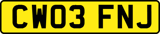 CW03FNJ