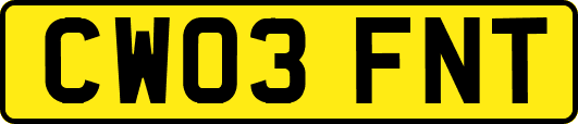 CW03FNT