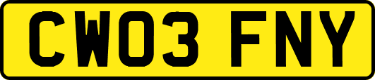 CW03FNY