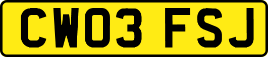 CW03FSJ