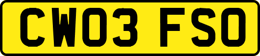 CW03FSO