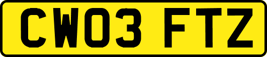 CW03FTZ