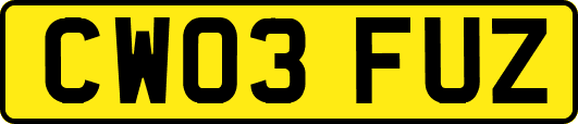 CW03FUZ