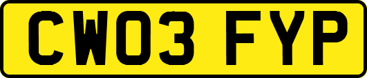 CW03FYP