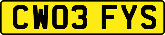 CW03FYS