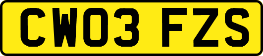 CW03FZS