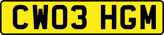 CW03HGM