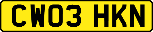 CW03HKN