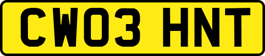 CW03HNT