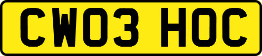 CW03HOC