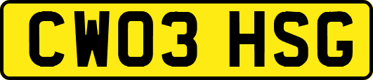 CW03HSG
