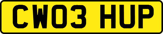 CW03HUP
