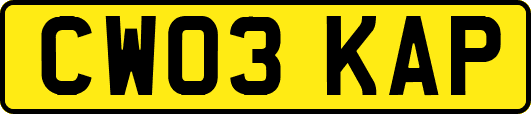 CW03KAP